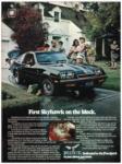 Buick 1976 21.jpg